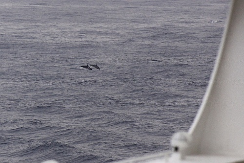 Hawaii0569