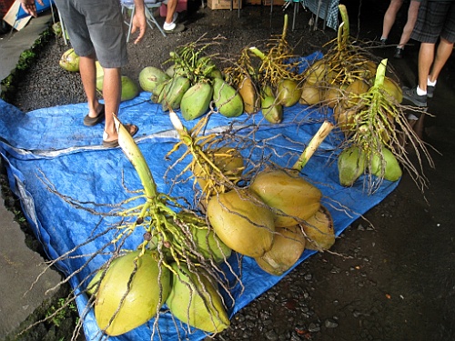 Hawaii0591