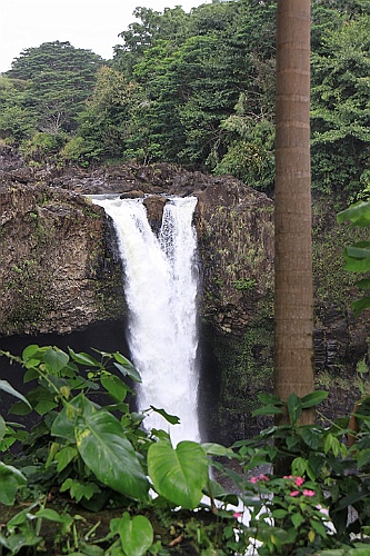 Hawaii0595