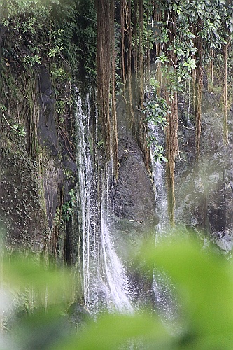 Hawaii0600