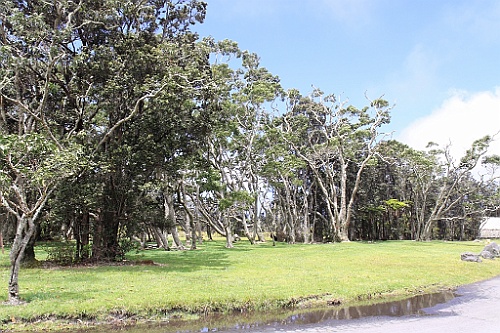 Hawaii0640