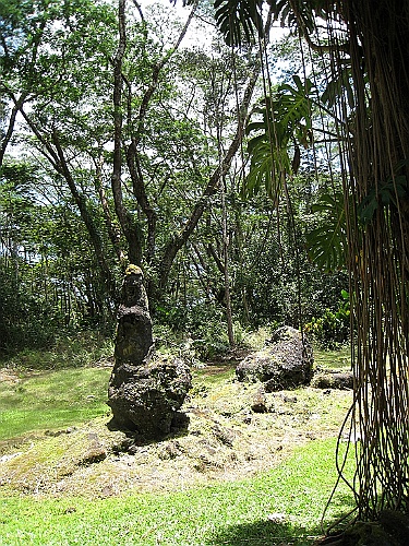 Hawaii0646