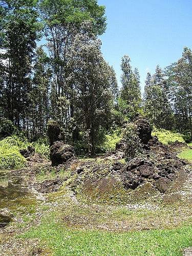 Hawaii0655