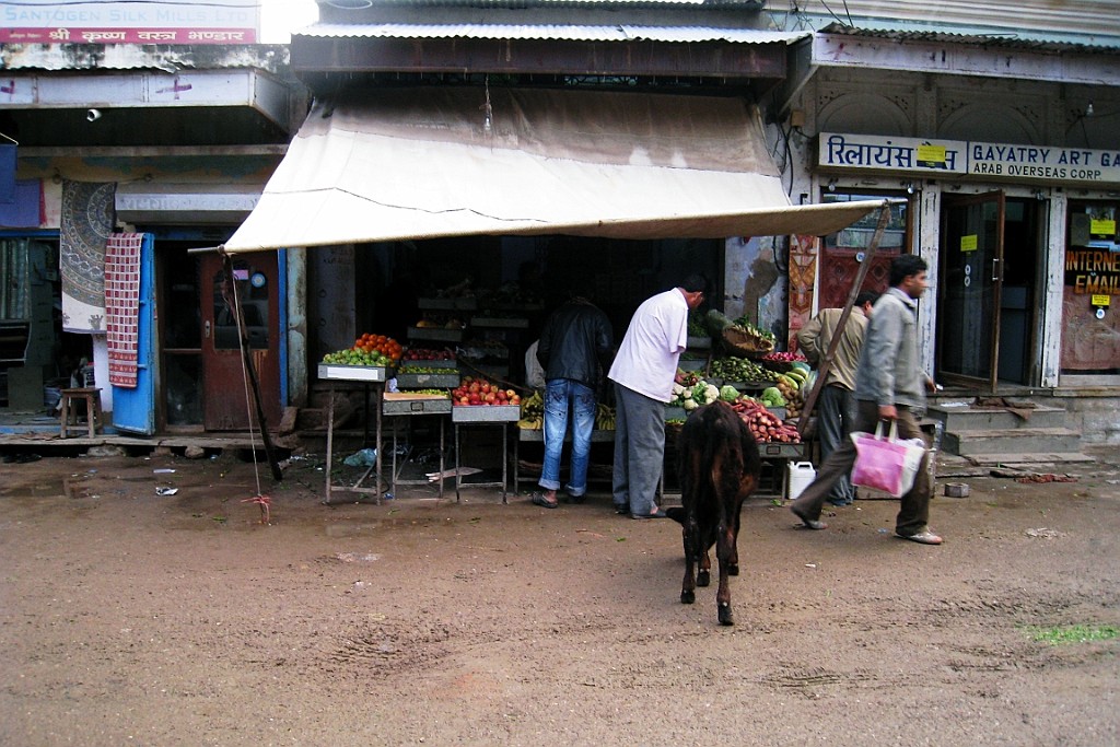 in0072.jpg
