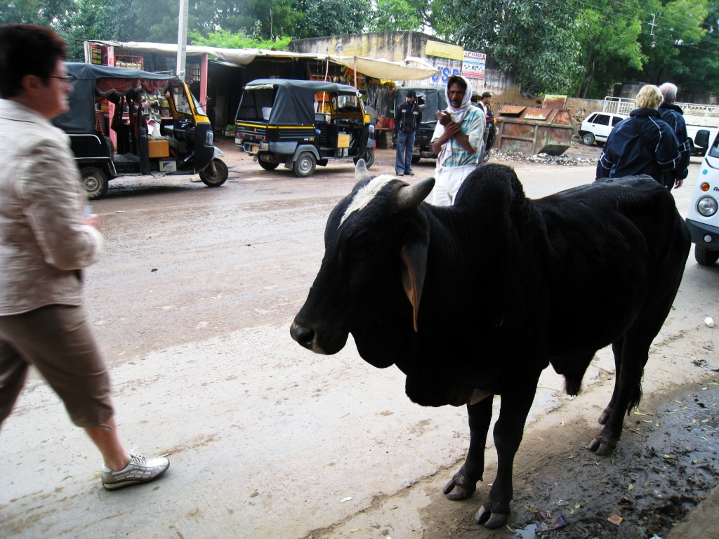 in0129.jpg