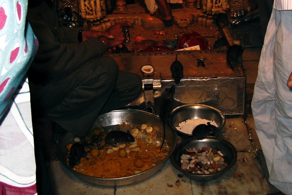 in0210.jpg