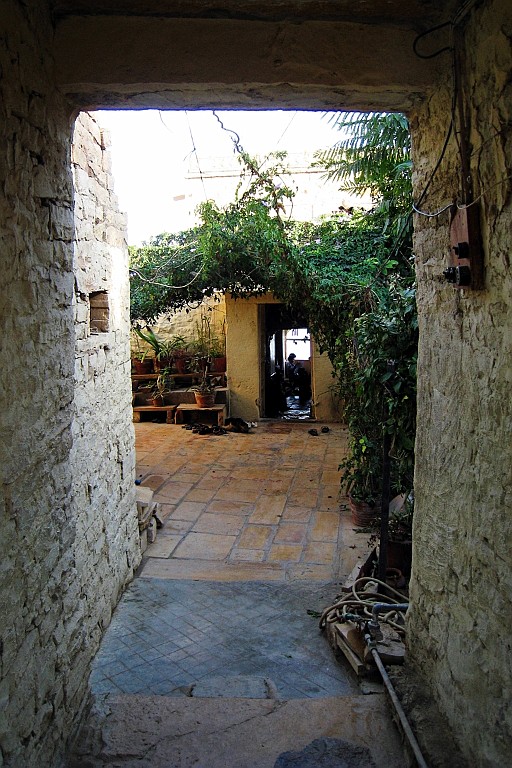 in0255.jpg