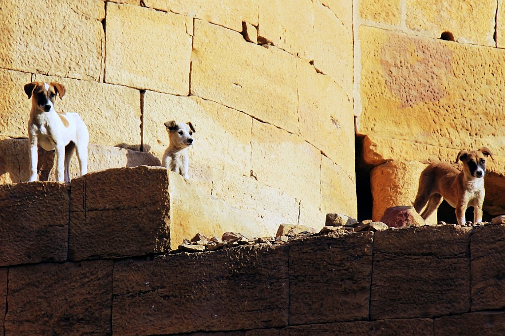 in0285.jpg