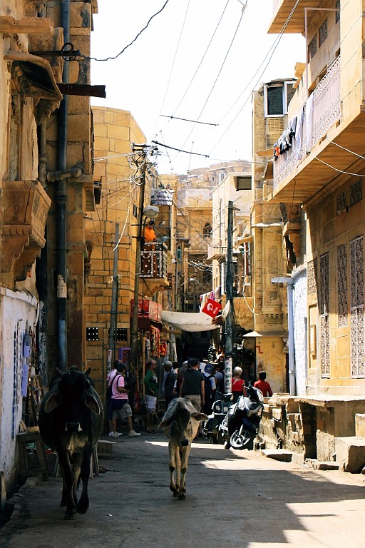 in0405.jpg