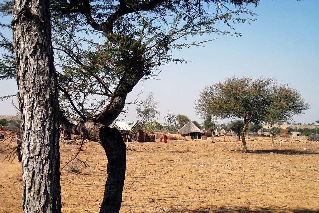 in0438.jpg