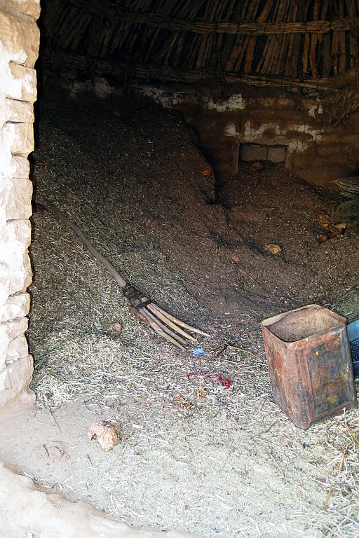 in0444.jpg
