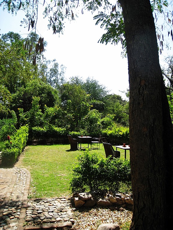in0572.jpg