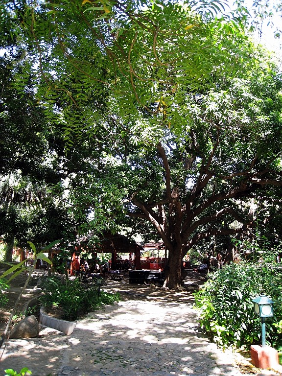 in0573.jpg