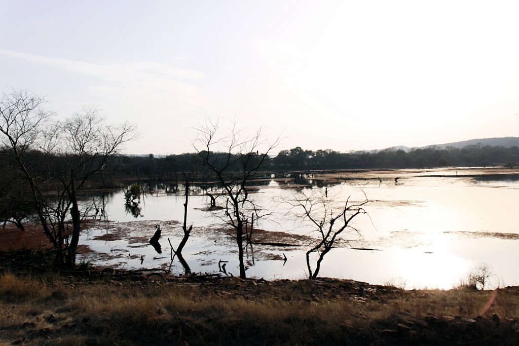 in1020.jpg