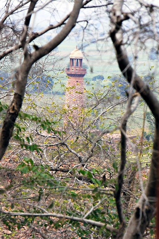 in1040.jpg