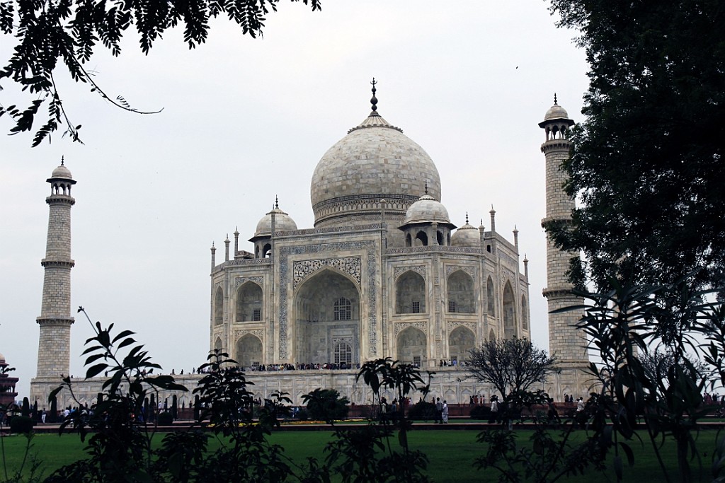 in1100.jpg