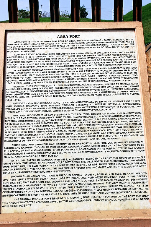 in1114.jpg