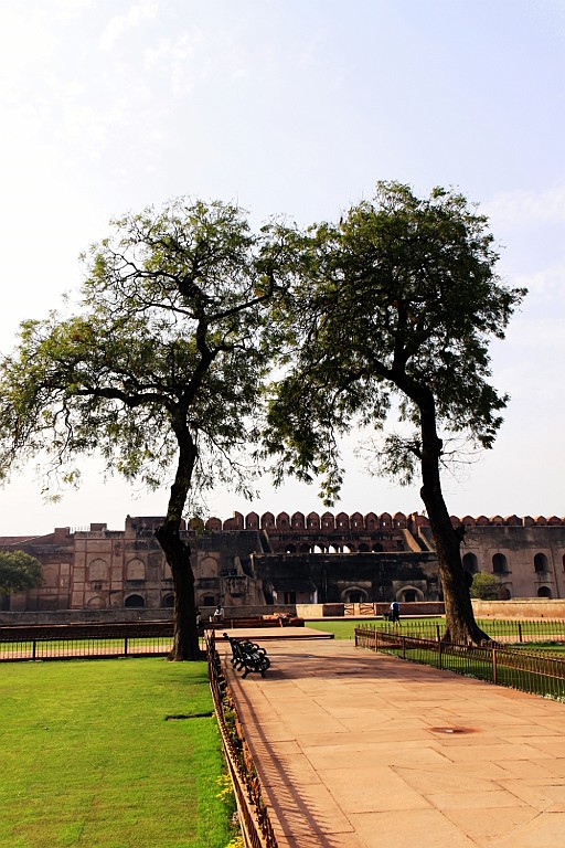 in1125.jpg
