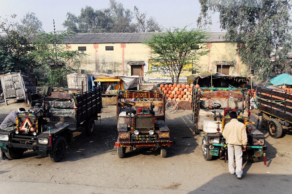 in1200.jpg