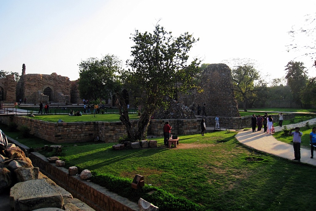 in1250.jpg
