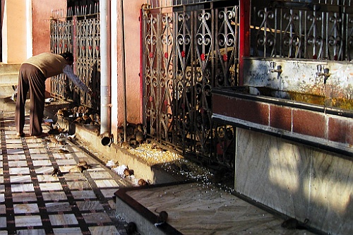 in0204
