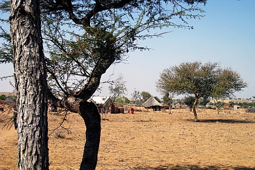in0438