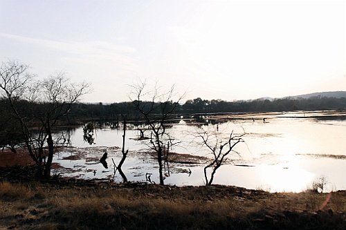 in1020