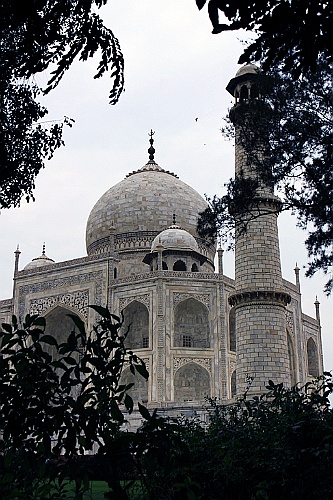 in1099