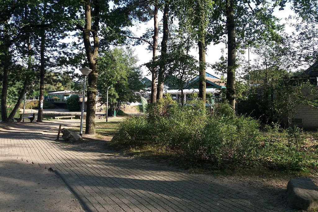 LDLB0921 (47).jpg
