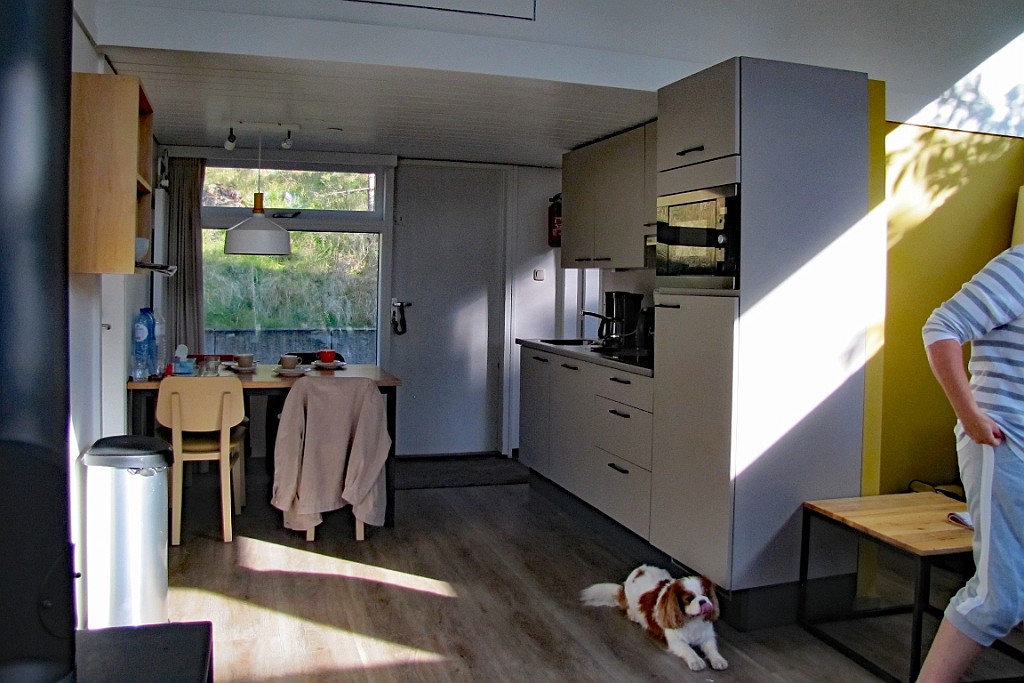 LDLB0921 (7).JPG