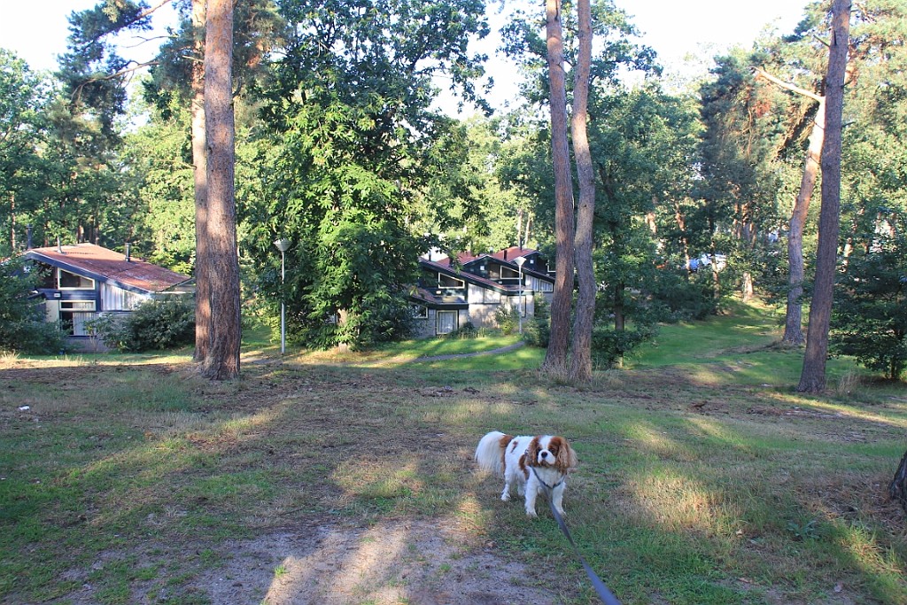 LDLB0921 (9).JPG