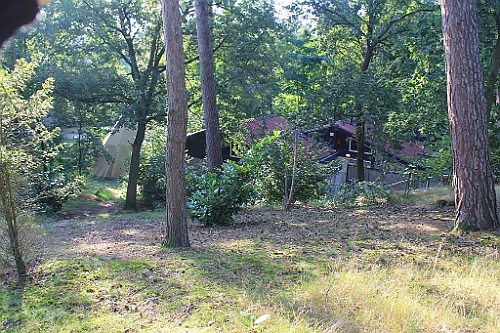 LDLB0921 (10)