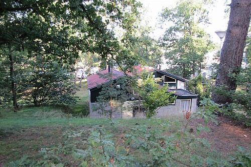 LDLB0921 (2)