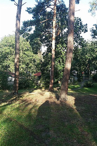 LDLB0921 (58)