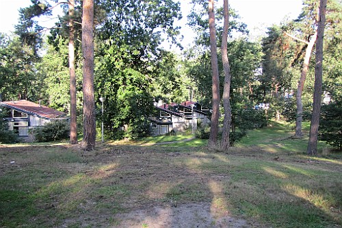 LDLB0921 (8)