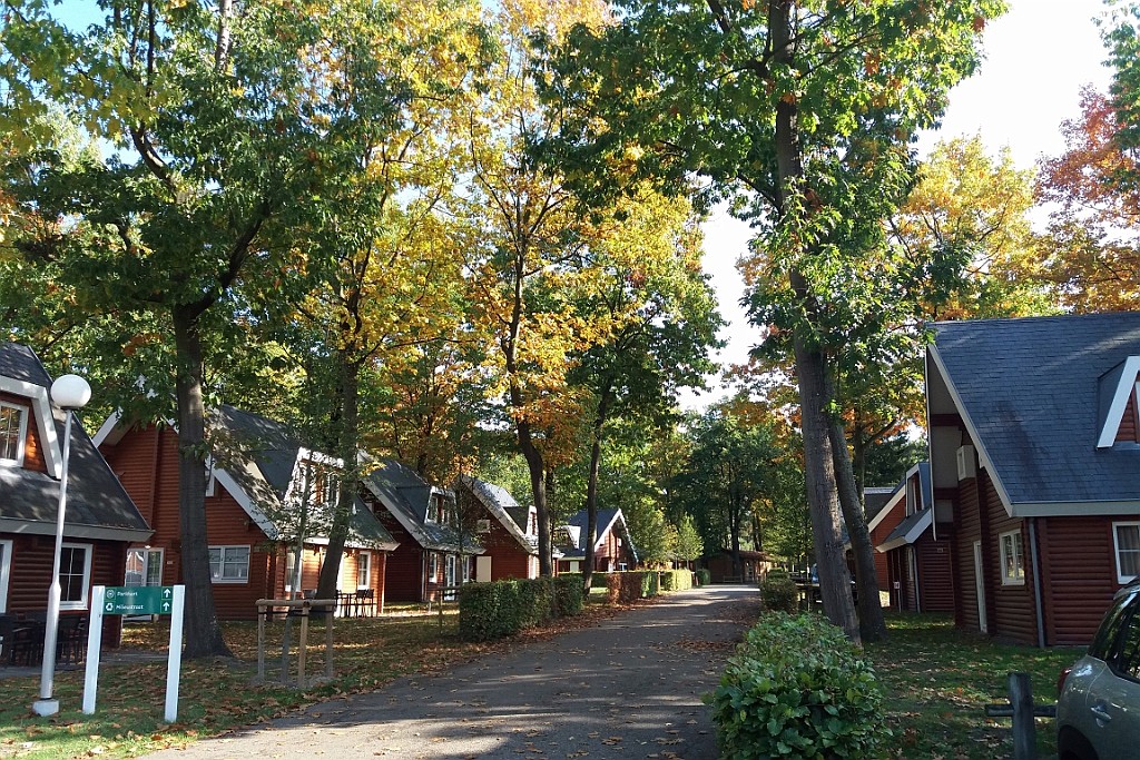 LanZut (56).jpg
