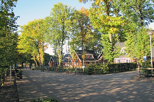 LanZut (16)