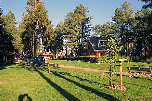 LanZut (17)