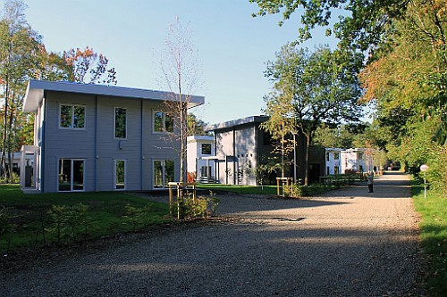LanZut (22)