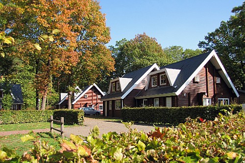 LanZut (53)
