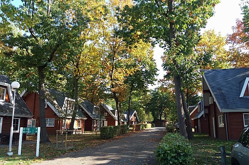 LanZut (56)