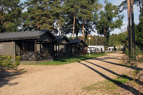 LanZut (61)