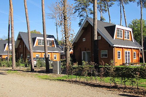 LanZut (9)