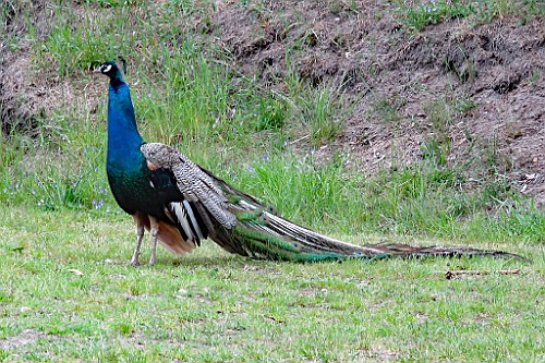 MoHe0519 (17)