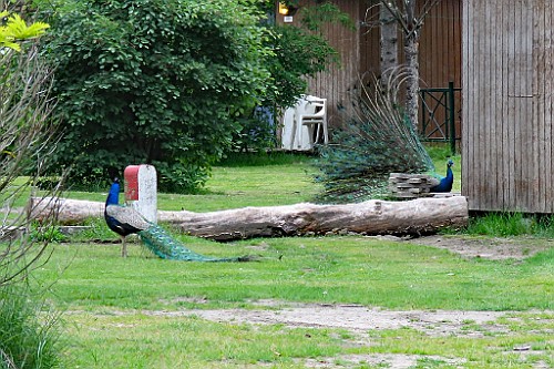 MoHe0519 (18)