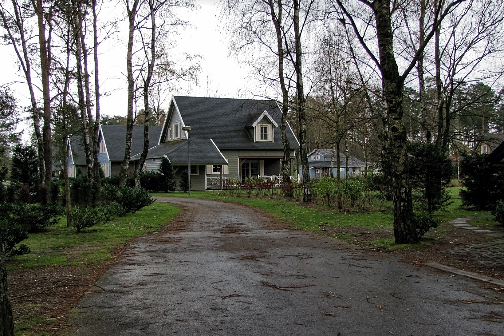 MH0319 (11).jpg