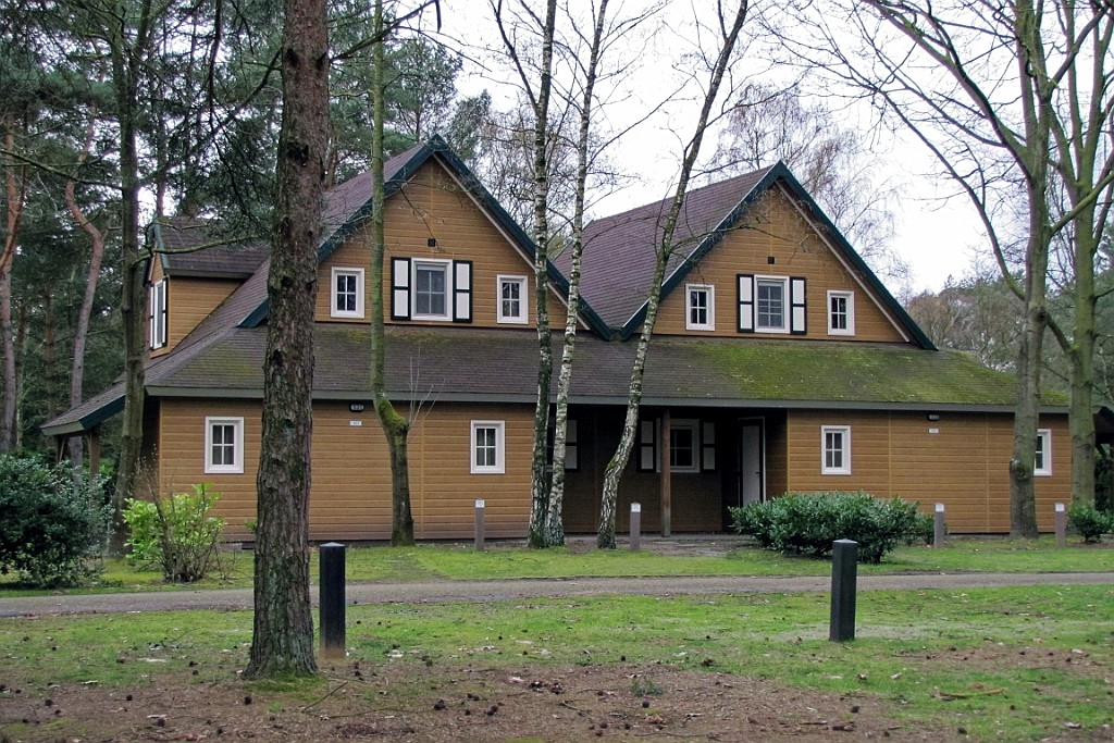 MH0319 (12).jpg