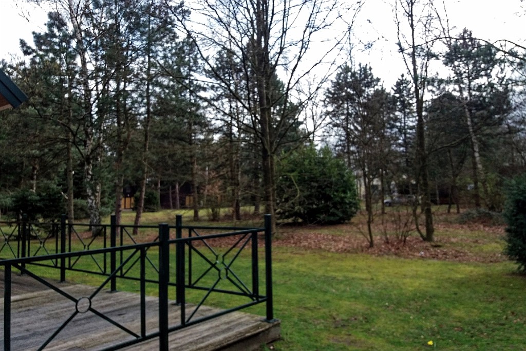 MH0319 (17).jpg