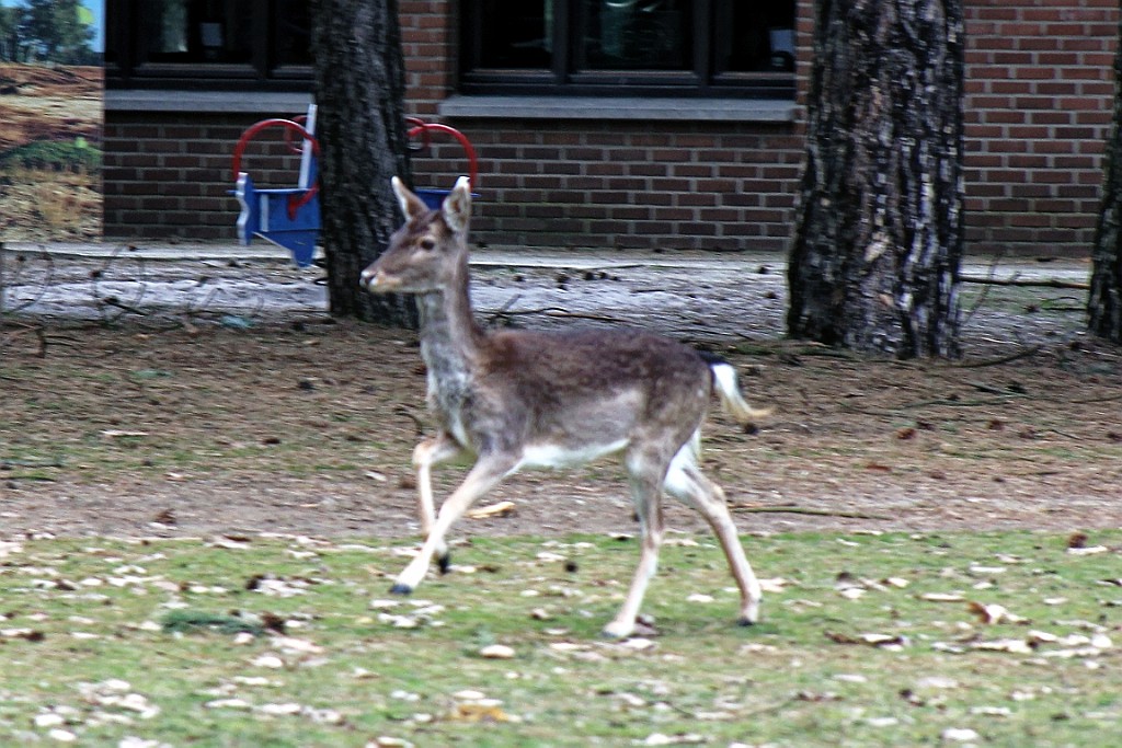 MH0319 (78).jpg