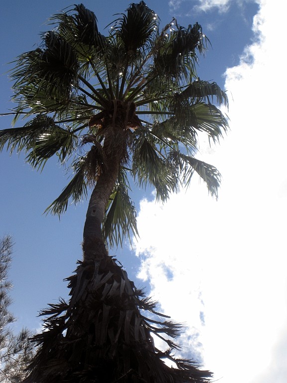 Namibie072.jpg